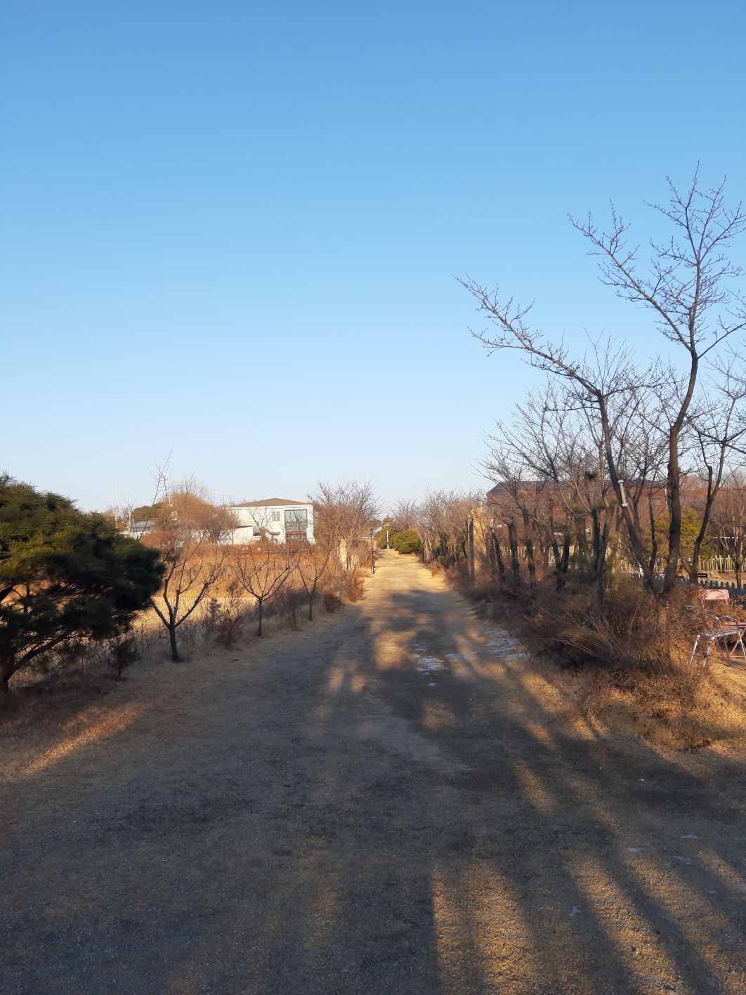 힐링그라운드 반려견 동반 카페 전경2