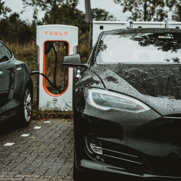 테슬라 모델 Y 가격