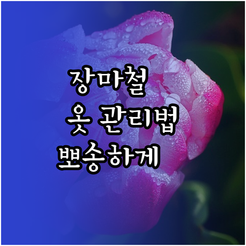 장마철 옷 관리 A to Z: 냄새 ..