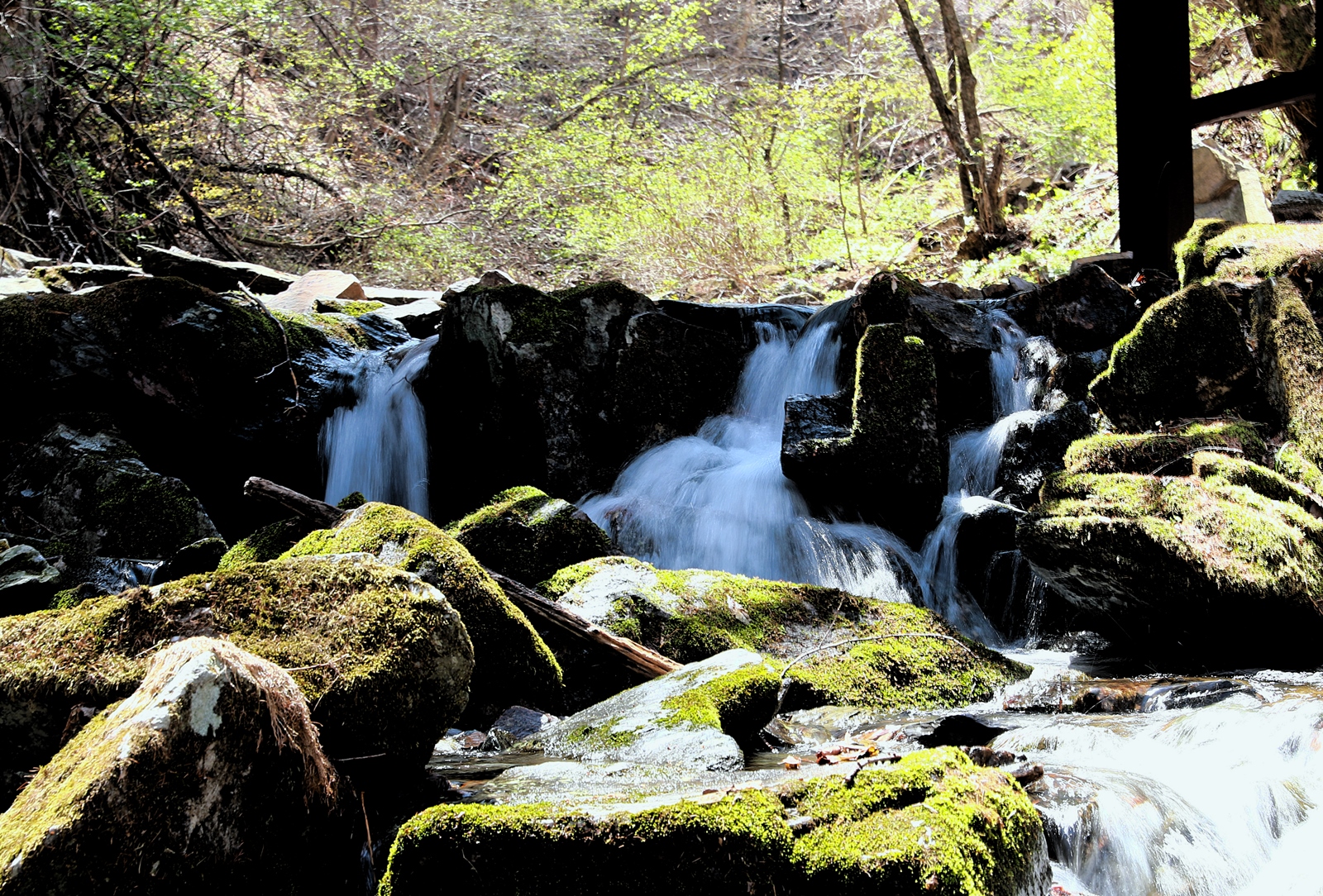 태백 가볼만한곳 : 태백산 국립공원