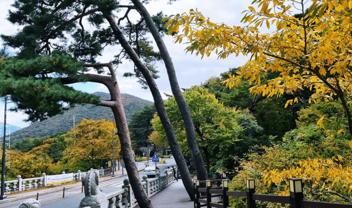부산 범어사
