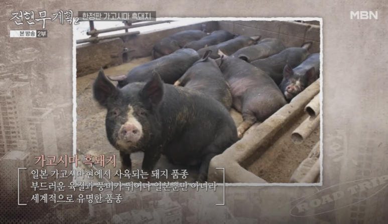 산청로컬 맛집