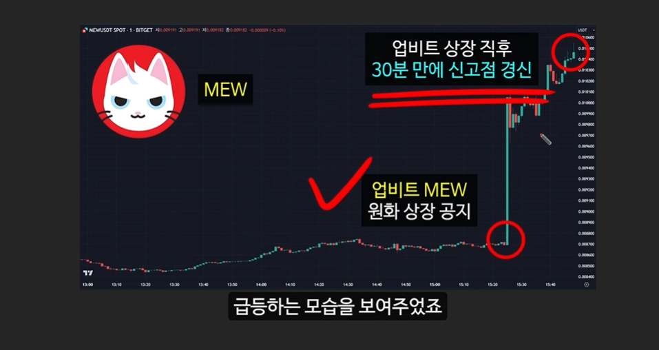 일론 머스크의 충격 발언과 도지코인, 플로키코인, 위프코인, 피넛코인, 프레드 코인의 강력한 상승 가능성 분석