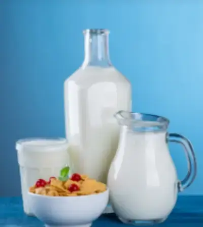 유제품-사진