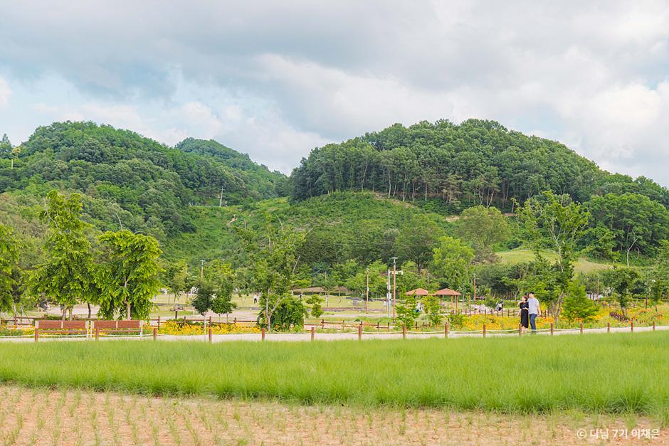 경남 함안 여행 가볼만한곳
