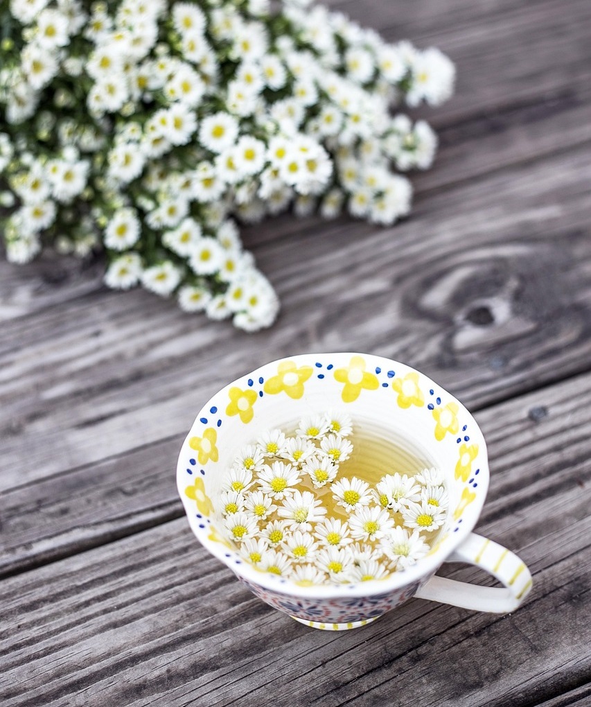 아로마테라피 향기를 통한 몸과 마음의 힐링