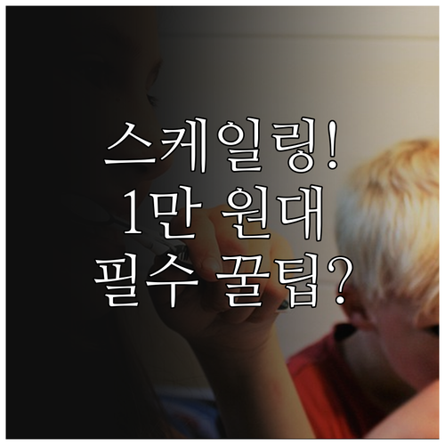 1만 원대 스케일링 보험 만 19세 ..