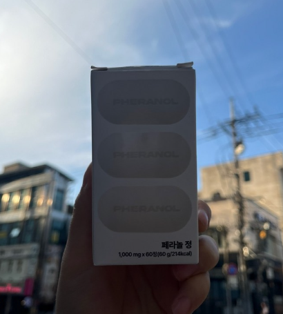 페라놀정 효과 부작용 내돈내산 후기