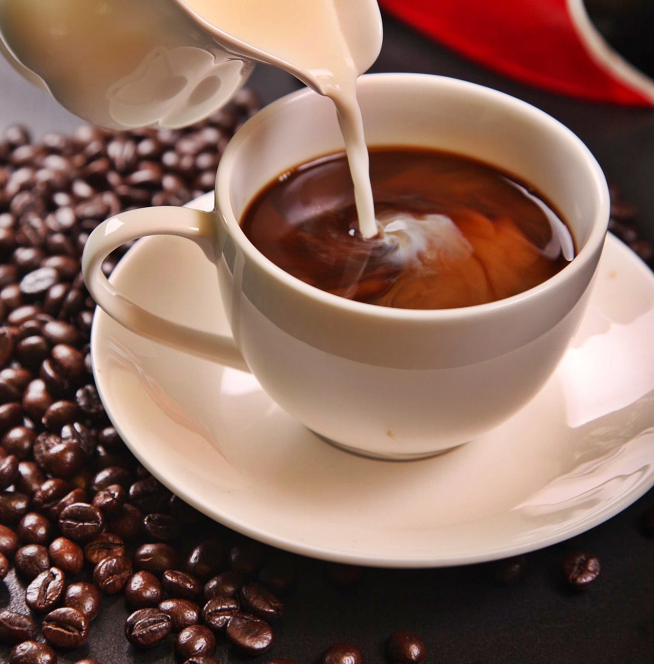 인생 후반에 혼자 잘 사는 사람이 강한 이유!