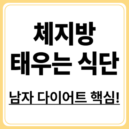 남성 체지방 감소 식단, 지방만 태우는 최적 메뉴 구성법
