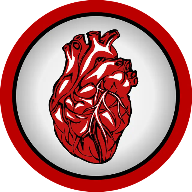 고지혈증 관련 사진11