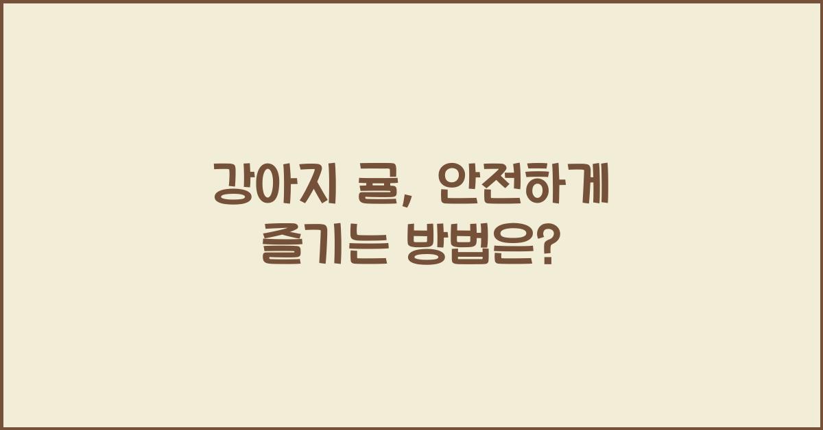 강아지 귤