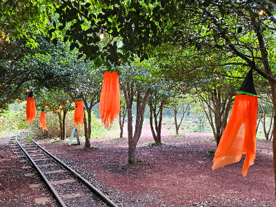 에코랜드 추천코스