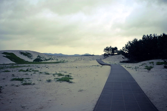 모래사막위 데크길