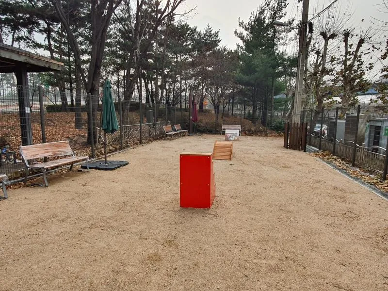 마포 반려견 놀이터