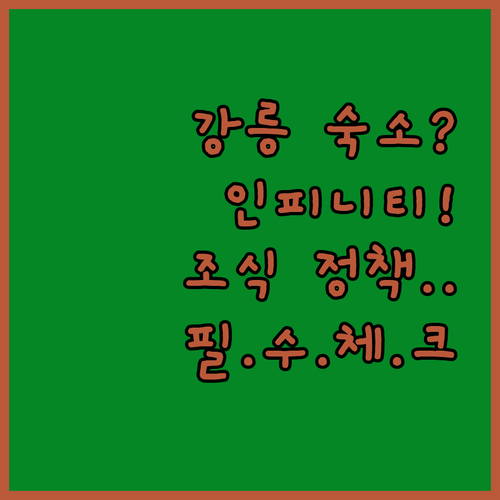 강릉 호텔 선택 가이드 루프탑 인피니..