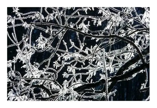 겨울에 듣기 좋은 노래