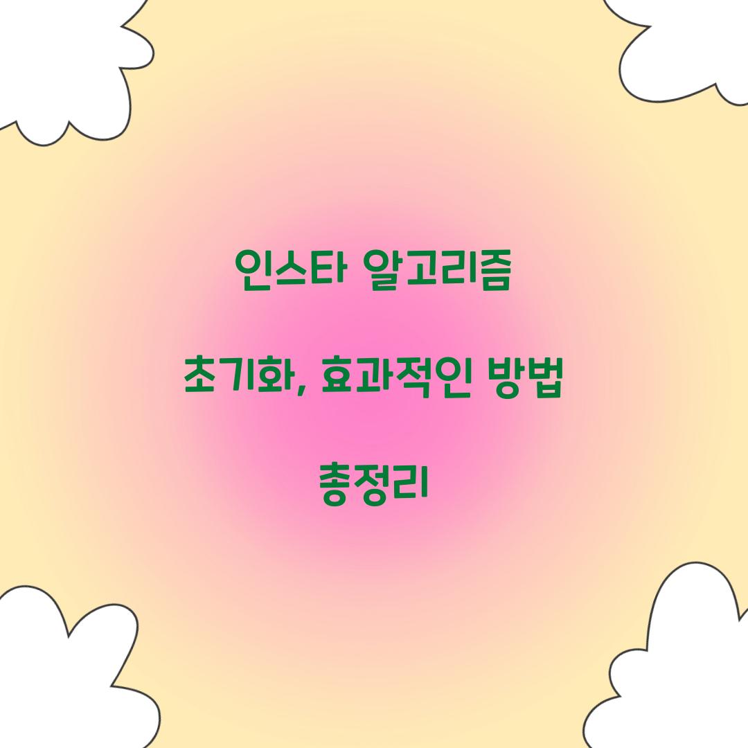 인스타 알고리즘 초기화