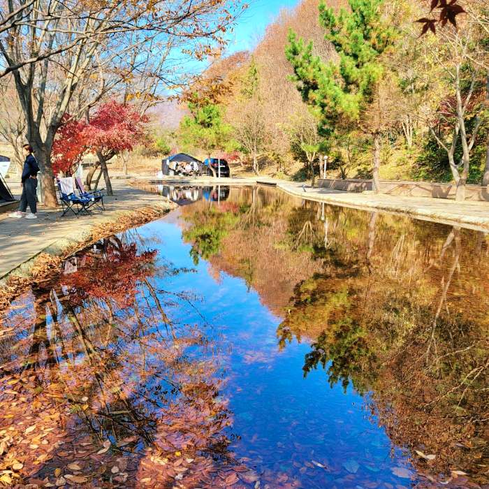 생방송오늘저녁 경주 차박 오토캠핑 캠핑장 추천 및 아내 힐링 위해 캠핑카 4번 바꾼 사연