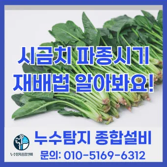 &amp;quot;시금치