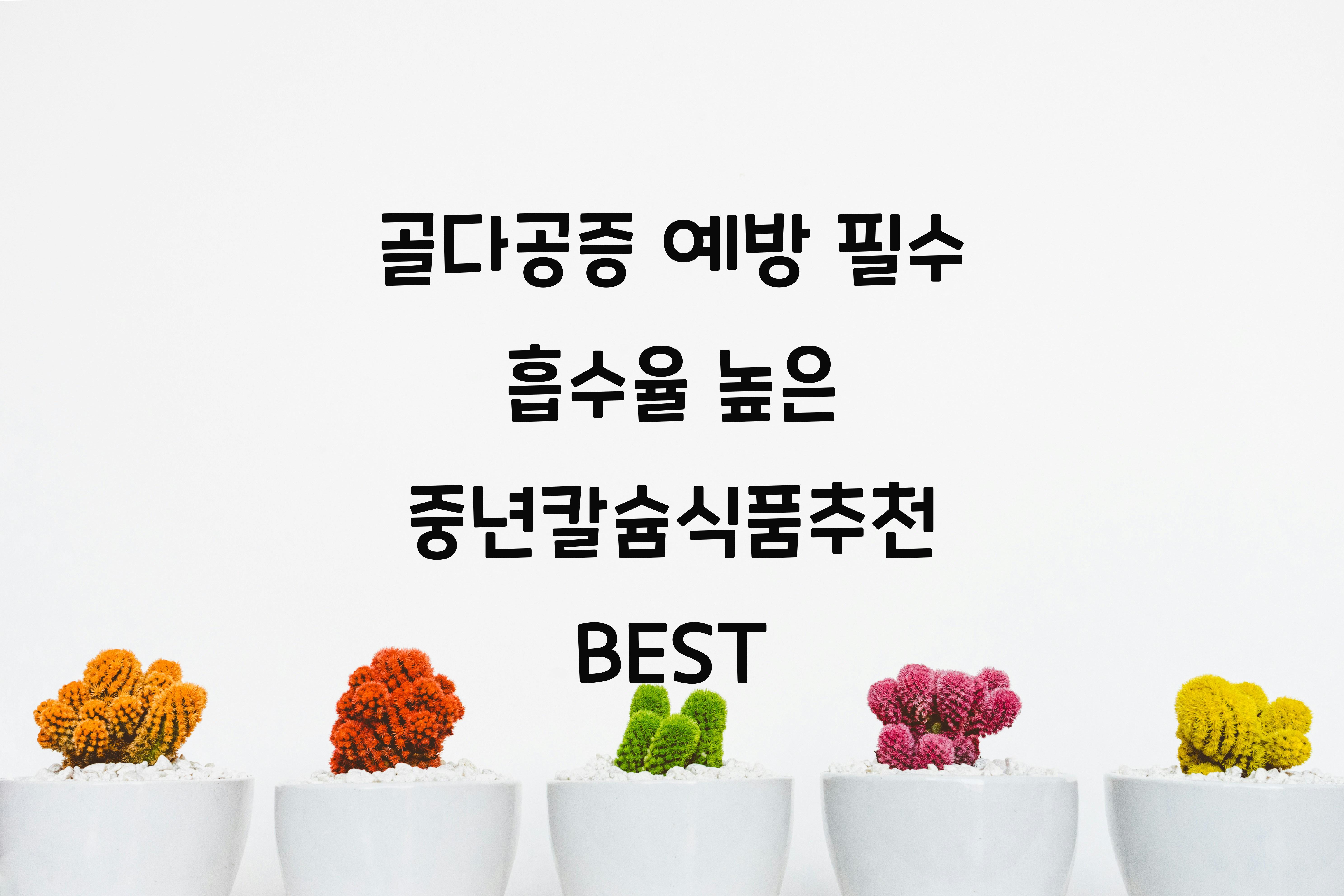 중년칼슘식품추천