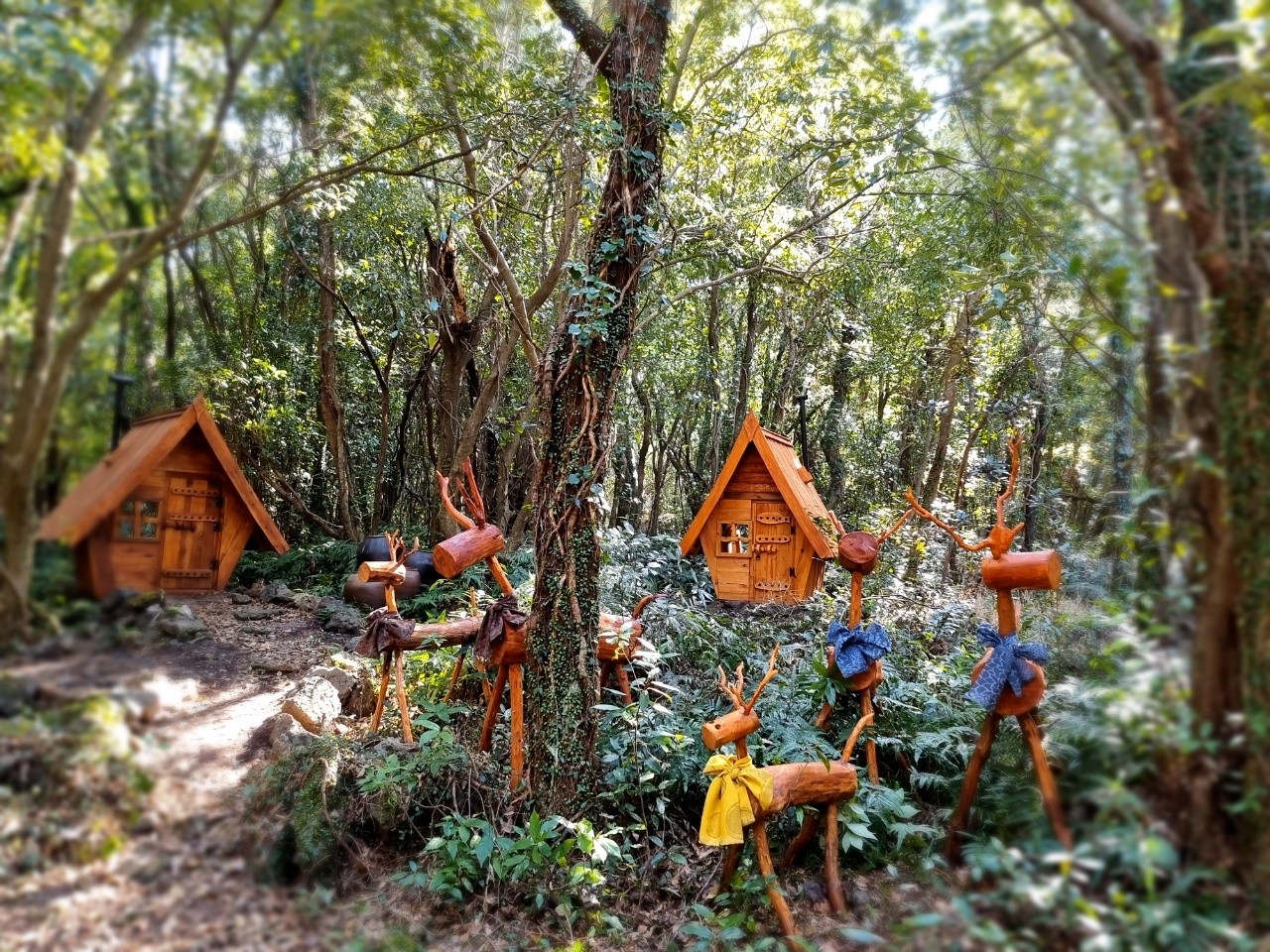 제주 산양큰엉곶