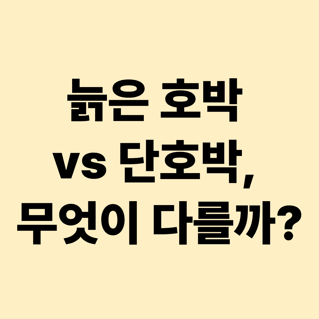 가을 제철 늙은 호박과 단호박 차이|영양·칼로리·맛·보관법 총정리