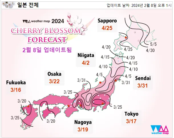 사쿠라맵