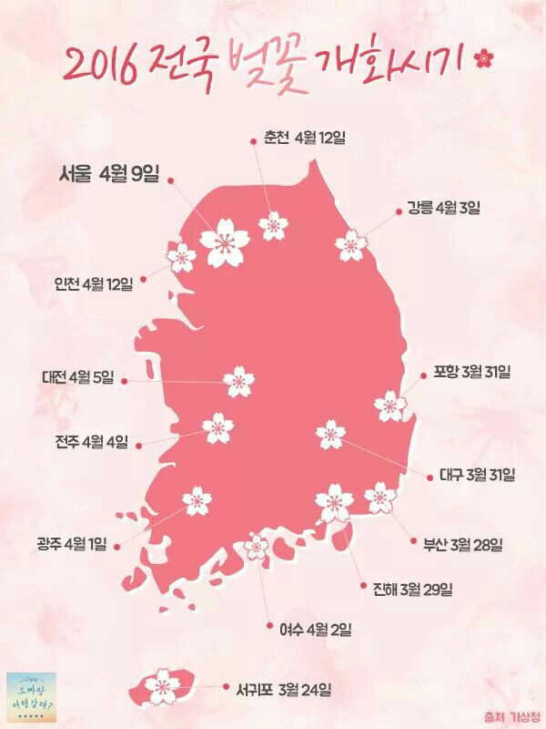 2026 전국 벚꽃 명소 TOP10 (벚꽃 개화시기까지 정리)