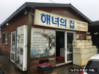 제주 해녀의 집 후기 해산물 맛집 베스트 5선_10