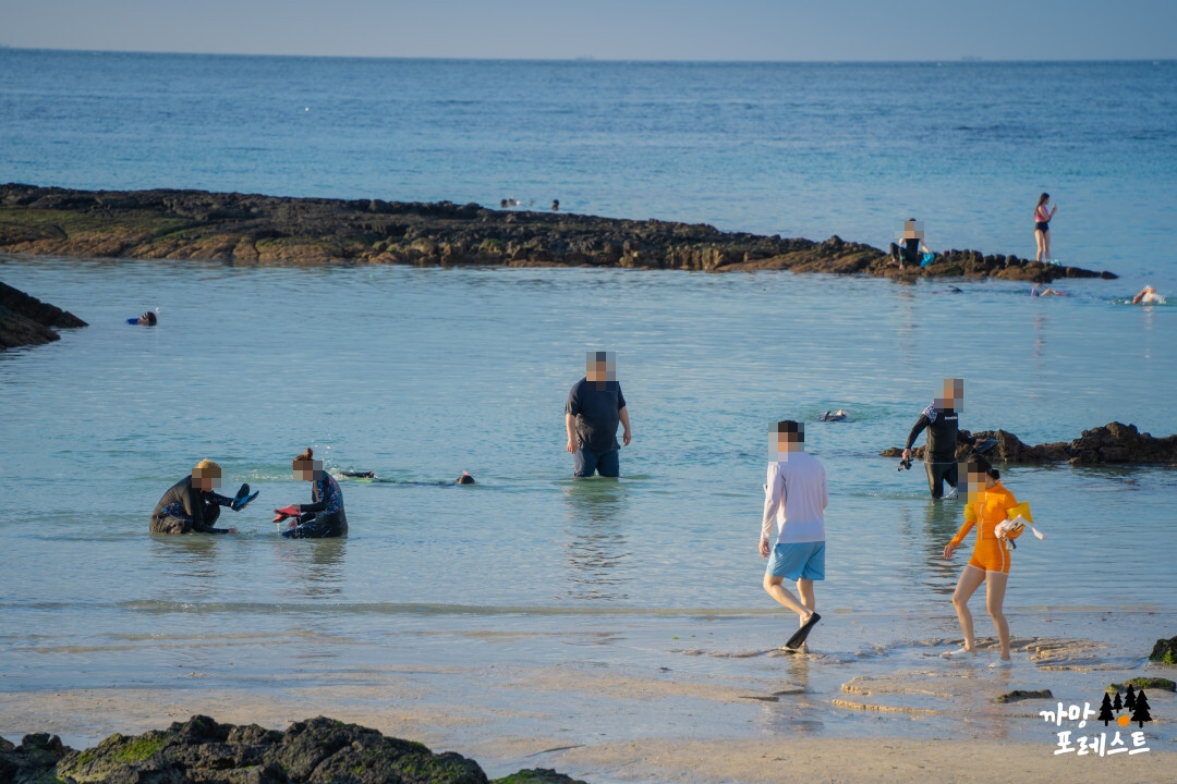 코난 해변 가족 나들이