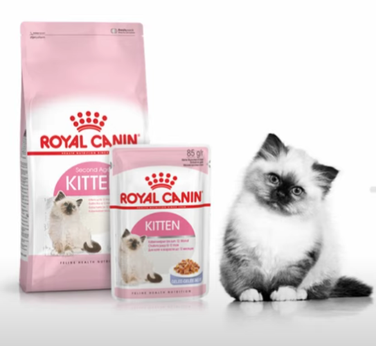 로얄 캐닌 키튼 고양이 사료