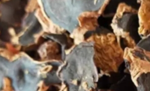 파비플로라 효능 부작용