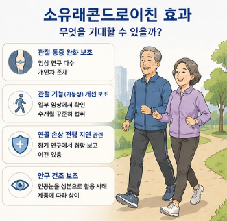 소유래콘드로이친-효과-내돈내산-후기-성분-부작용-뜻