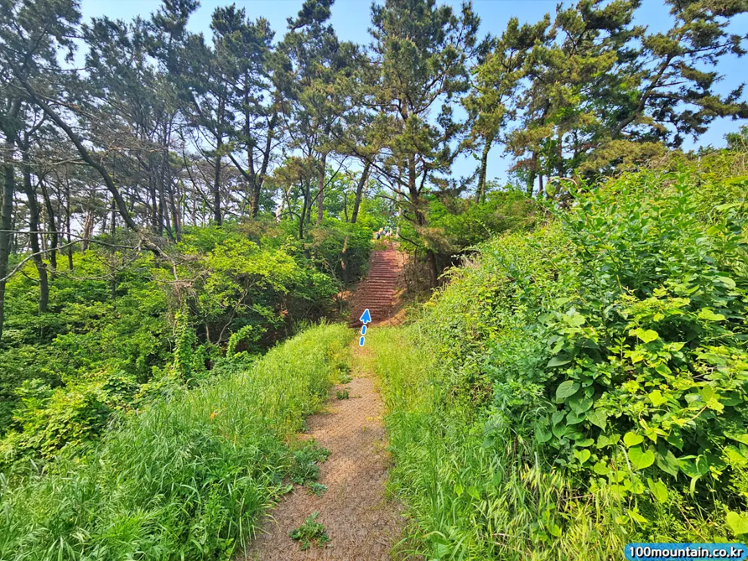 당산 정상으로 올라가는 길