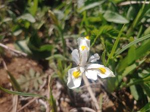 태백산 국립공원 태백산 민박촌 예약