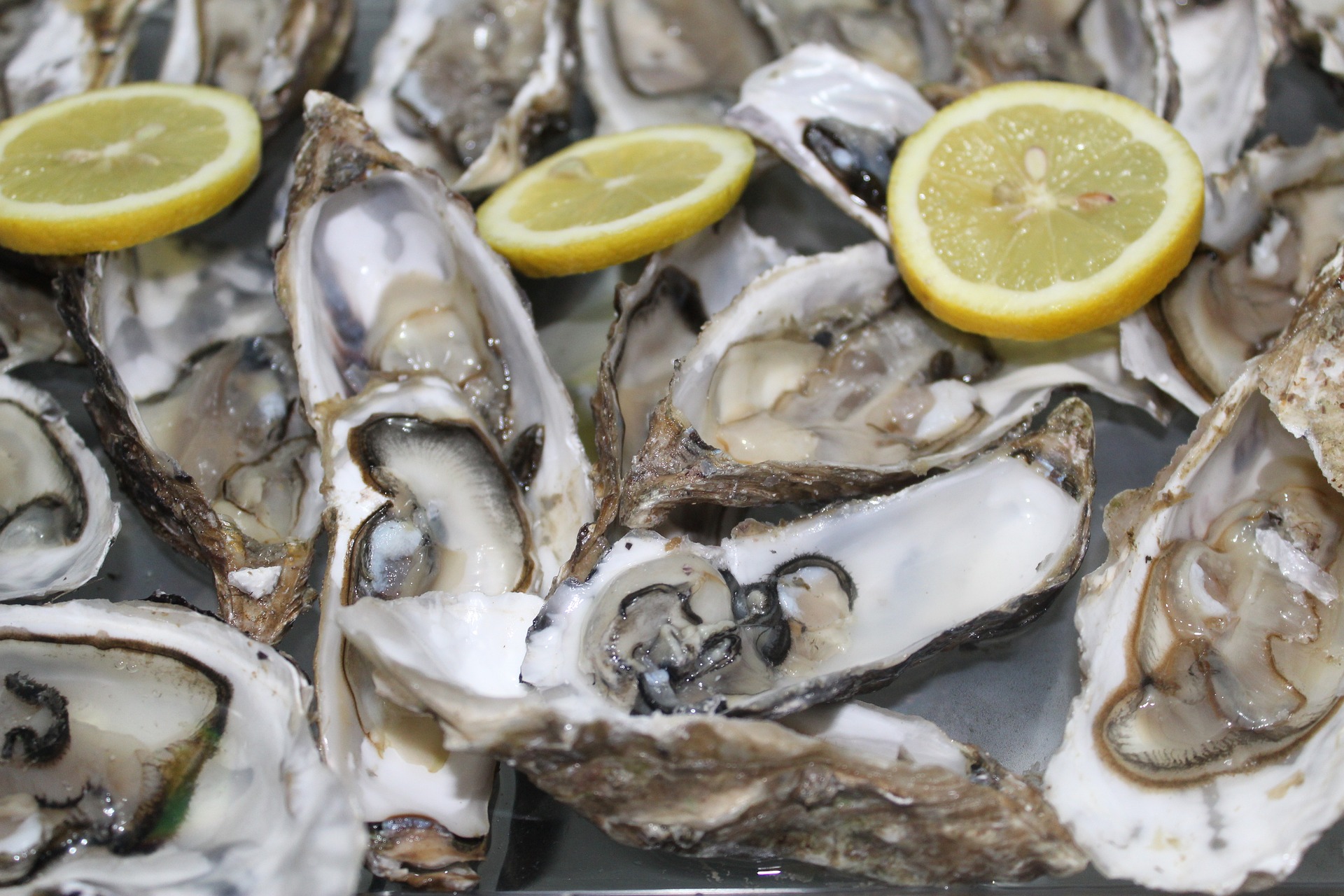 바다에서 채취를 한 굴을&#44; 껍질을 까고 잘 세척해서 접시 위에 놓고&#44; 그 위에 레몬을 뿌리고&#44; 레몬을 놓은 사진 - 태양인(太陽人)에게 맞는 음식