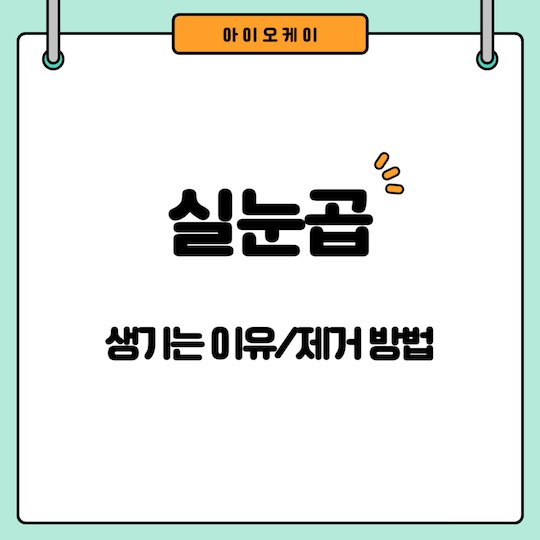 실눈곱-생기는-이유-제거