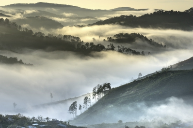 무공해 차량 혜택