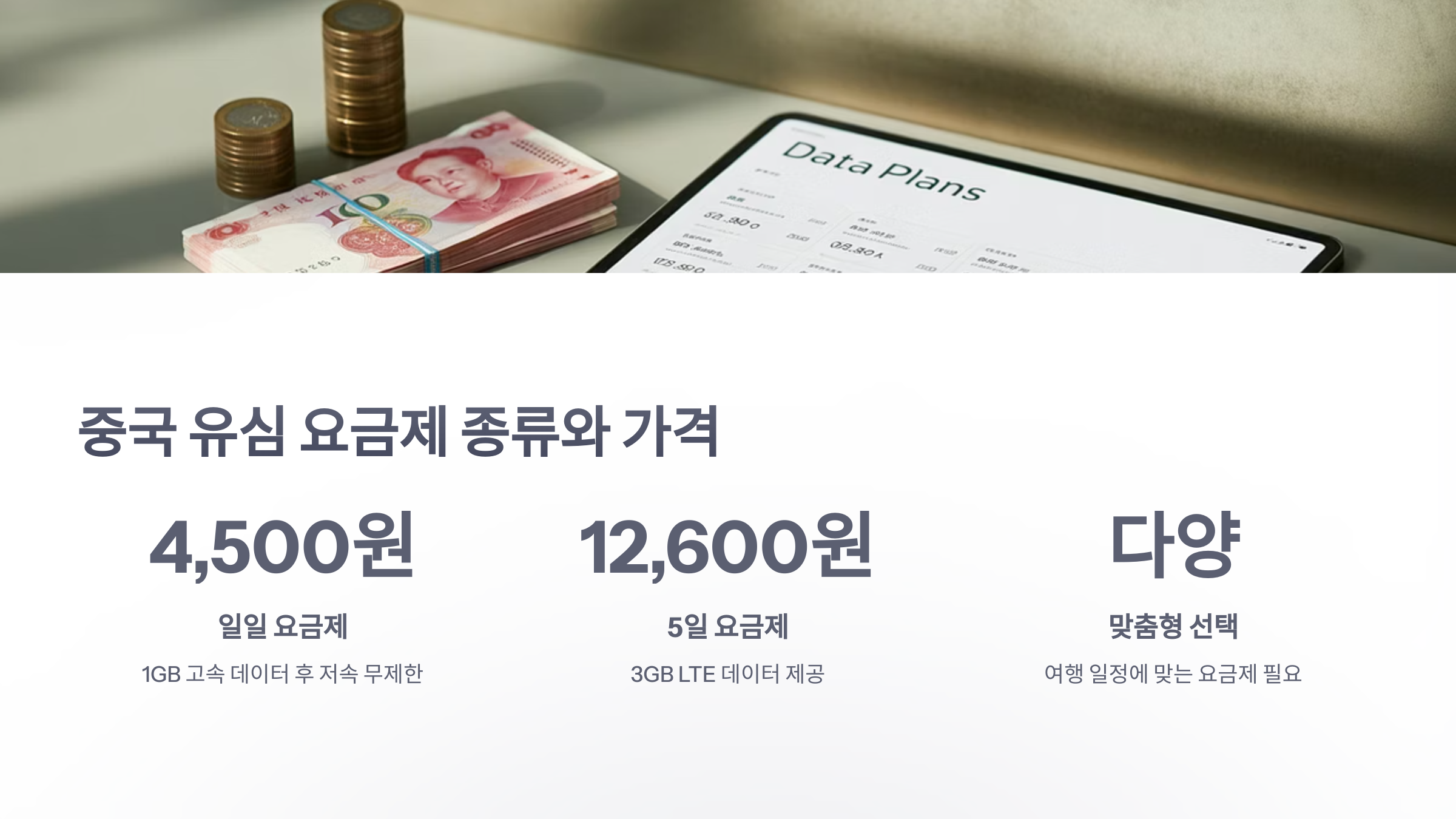 참조-중나-유심-3