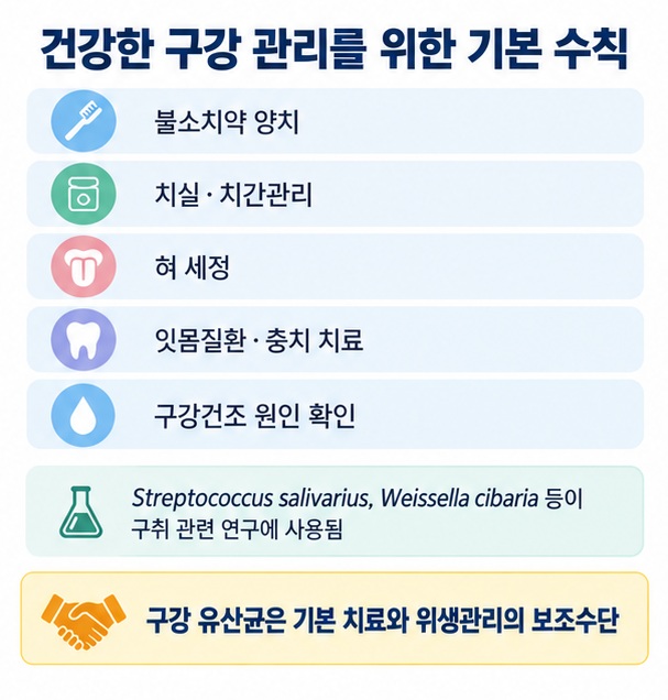 입냄새와 잇몸 문제에서 혀 세정, 양치, 치실, 치과 치료가 우선이고 구강 유산균은 보조수단임을 표현한 이미지