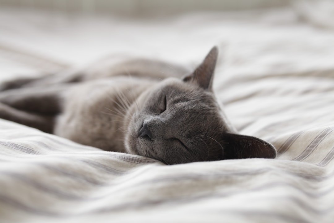 Sleep.
