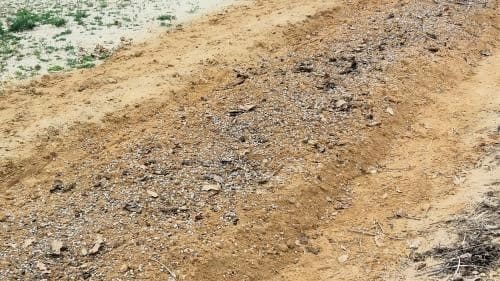 열무-종자-파종방법ㅂ-심는방법-재배밭-거름주기