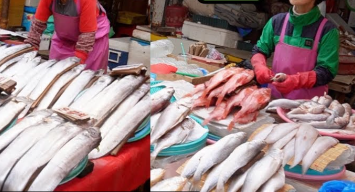 시장 생선 사진