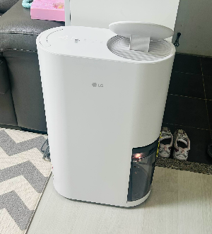 LG 휘센 오브제컬렉션 제습기 DQ214MWGA 21L