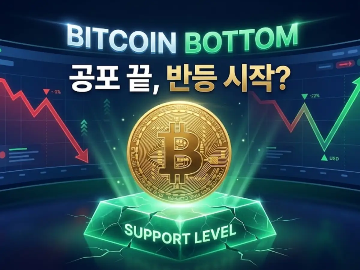 비트코인 한 달 새 -25% 폭락... "개미는 도망가고, 자본가는 입 벌리는 이유" (데이터 팩트)
