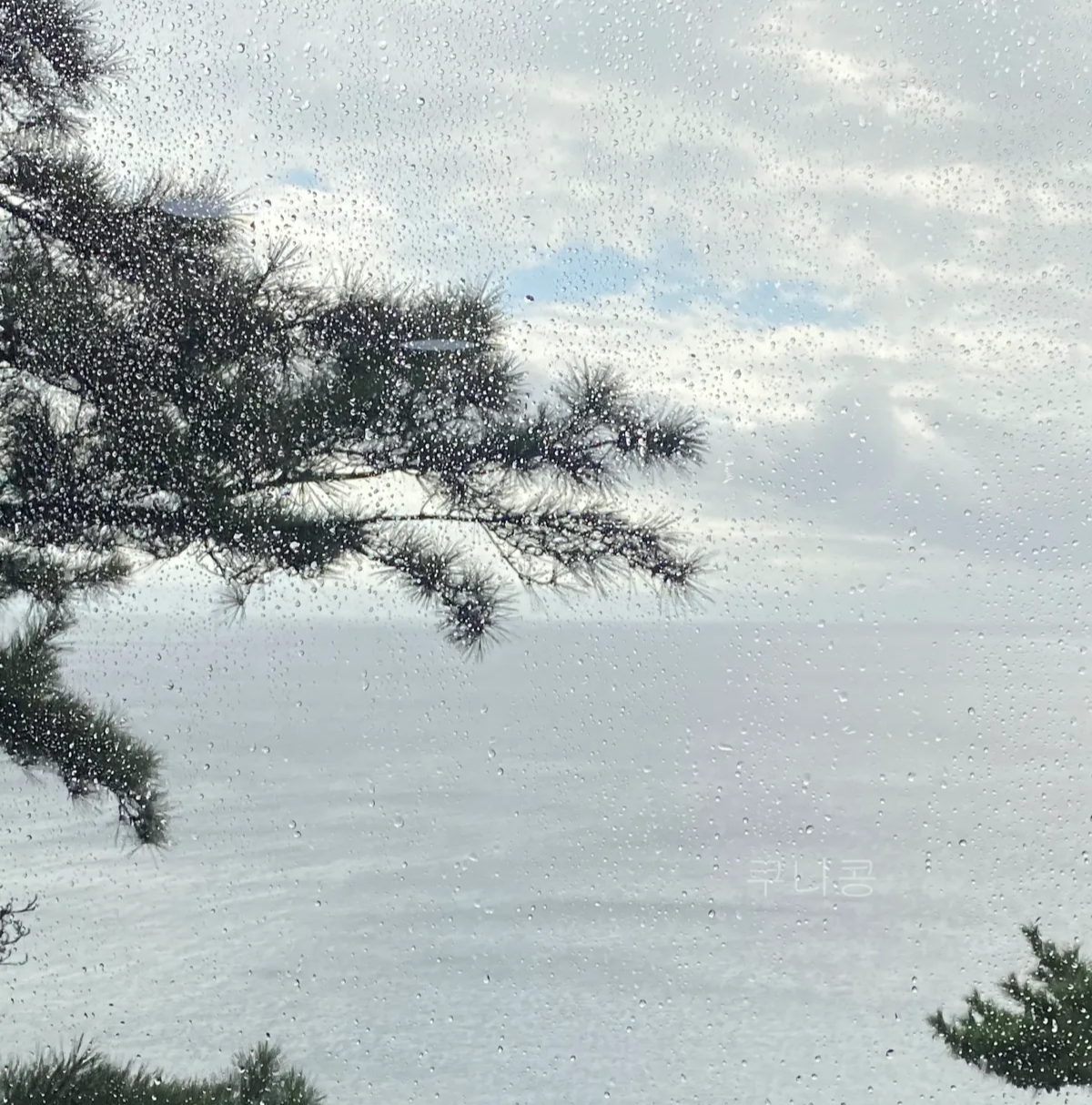 울릉도-추석가족여행-1일차-모노레일-입장료-할인,-해안산책로,-대풍감-풍경까지