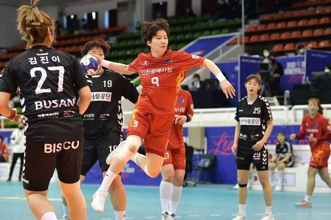 핸드볼 레전드 이력