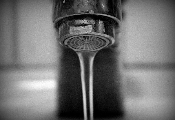 [건강기능식품의 효능] 전립선건강, 전립선기능저하원인, 전립선기능개선방법, 전립선에 좋은 음식 원료