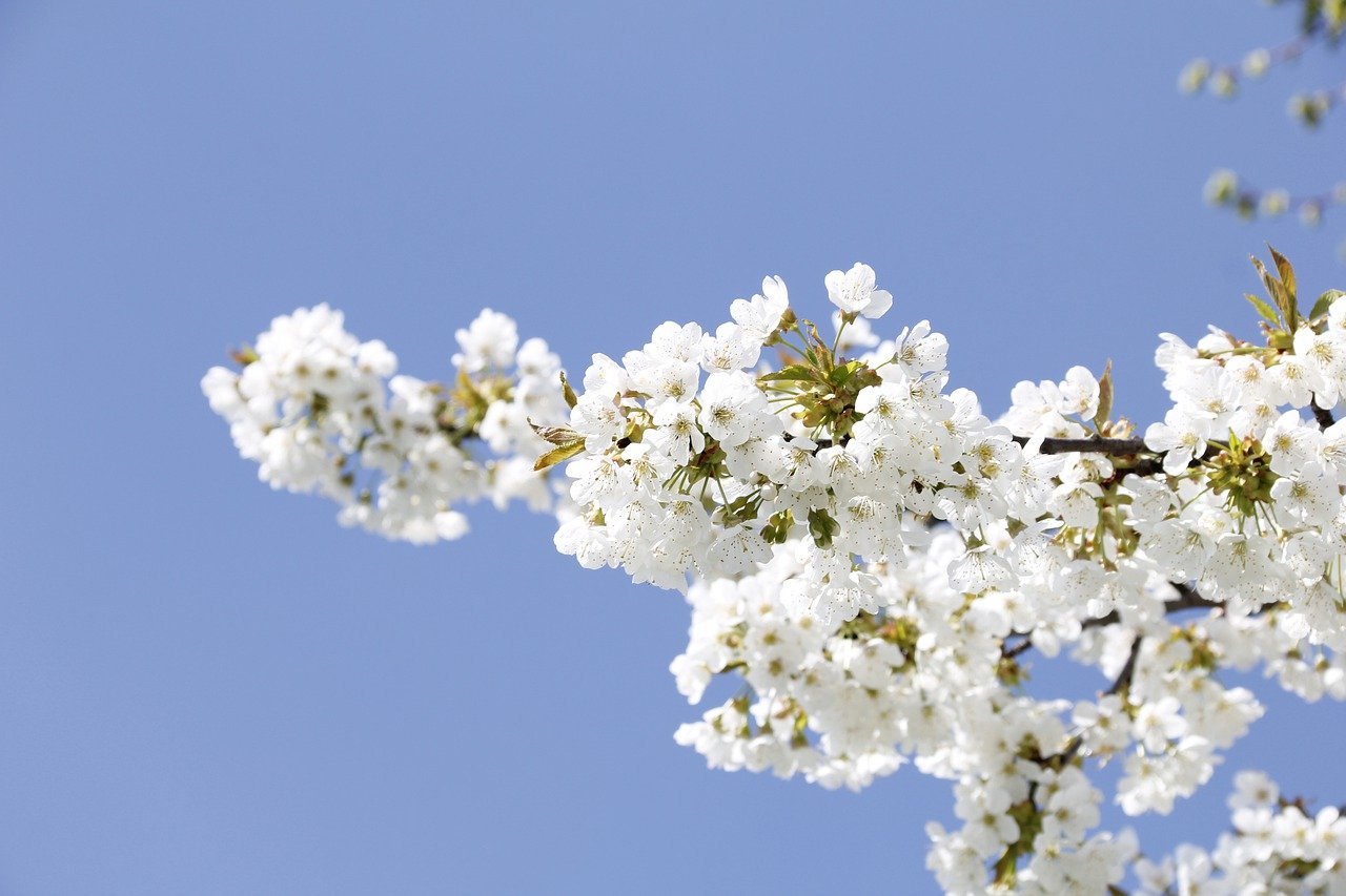 하루를 사랑으로 사는 일